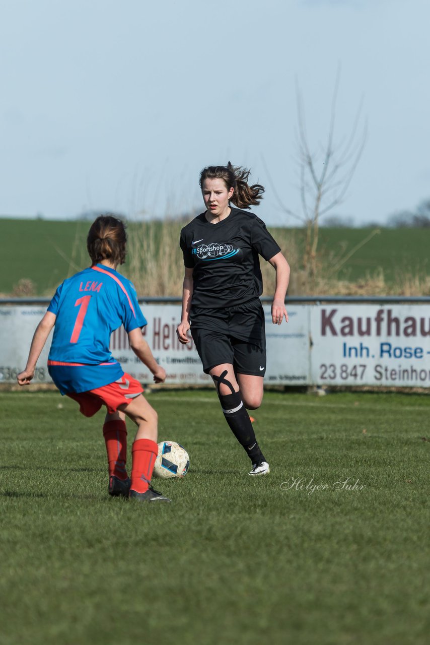 Bild 244 - C-Juniorinnen SV Steinhorst/Labenz - TSV Friedrichsberg-Busdorf : Ergebnis: 5:0